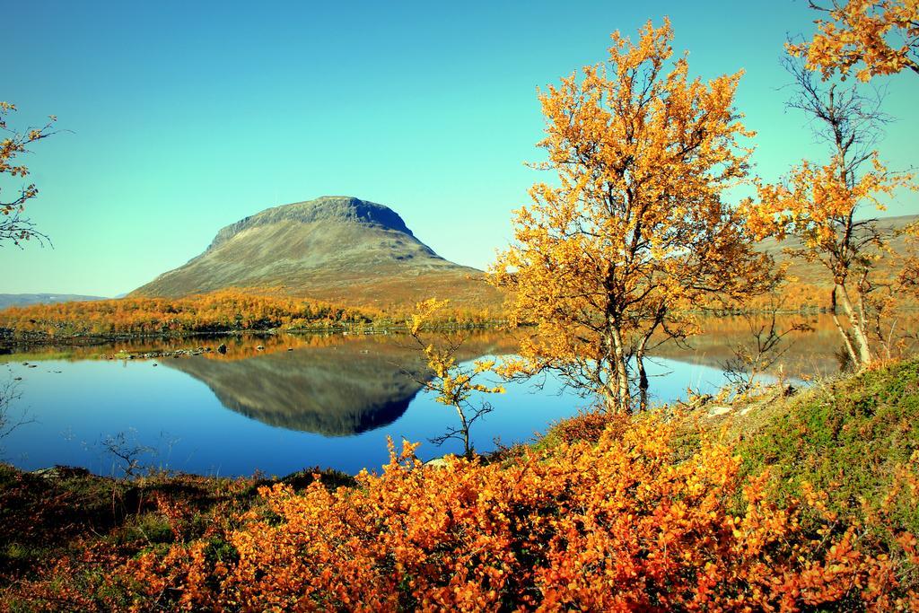 Saivaara Cottages Kilpisjärvi Værelse billede